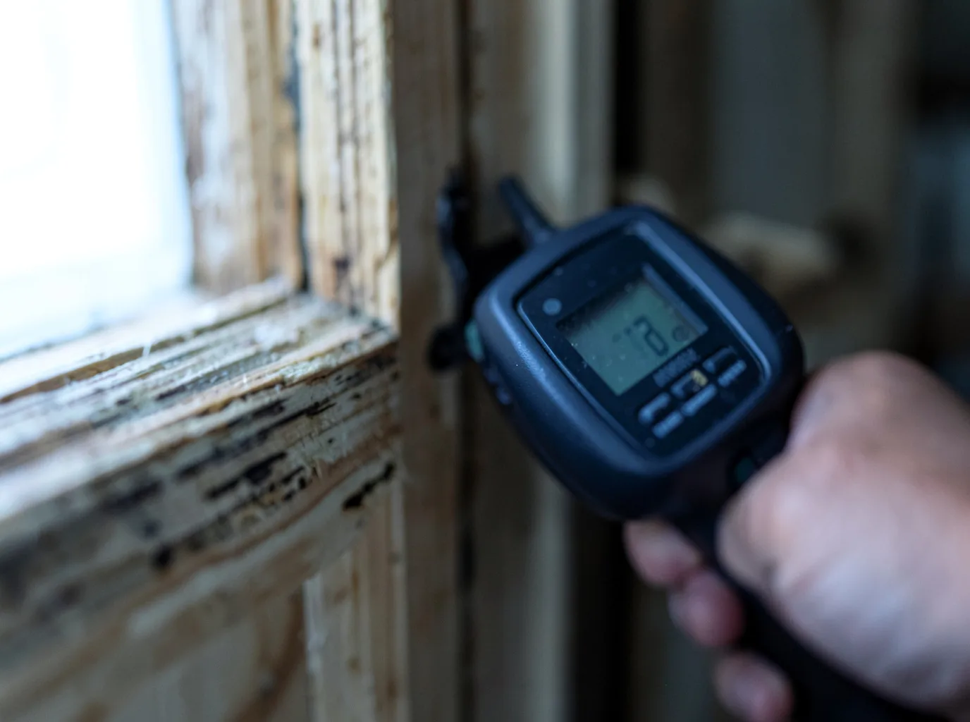 Moisture Inspection And Documentation in Port Townsend, WA